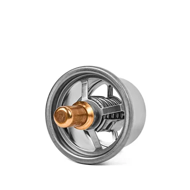 Thermostat_1